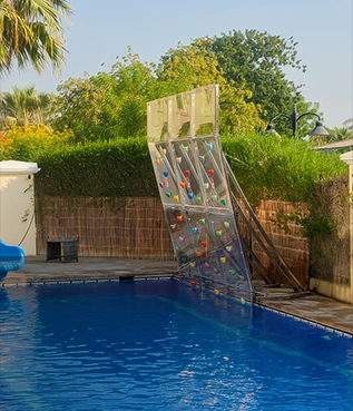 Backyard Pool